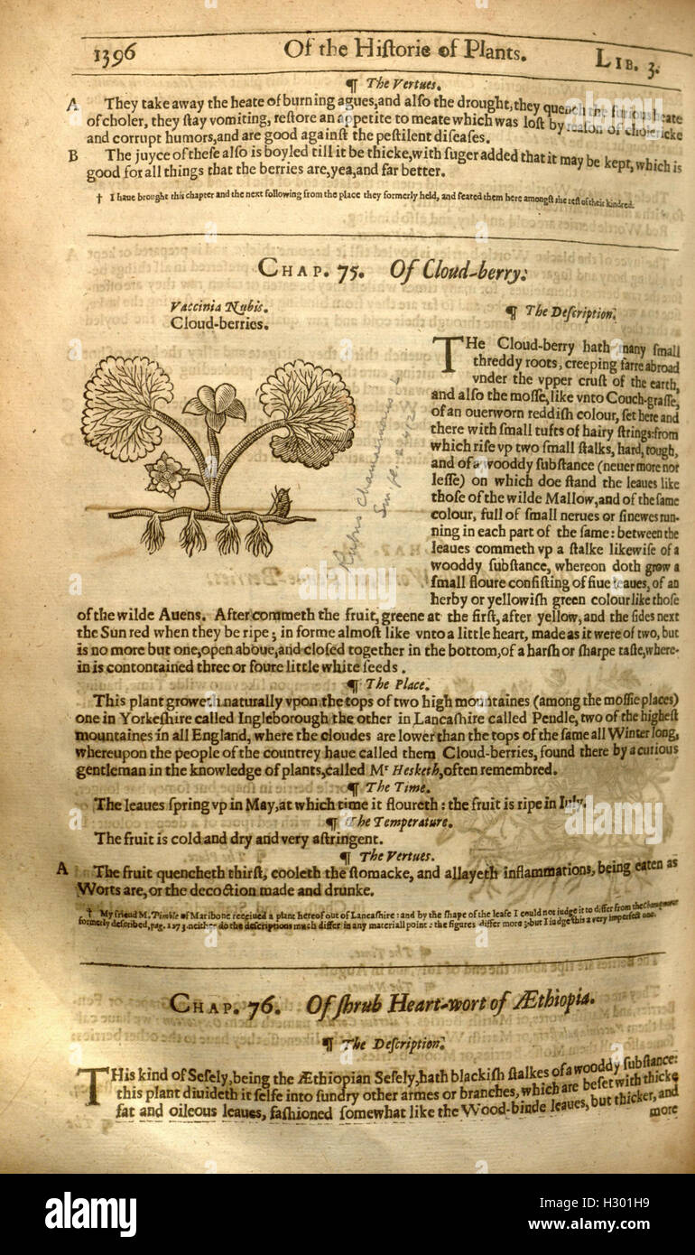 Old History Text Example A historical text detailing various plant species and their uses, with ...