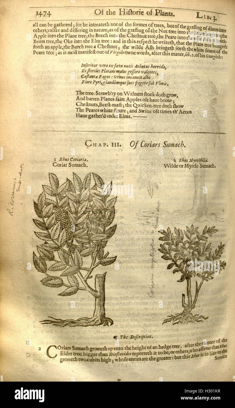 This classic botanical work compiles descriptions and illustrations of ...