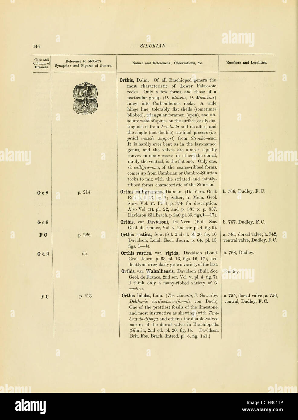 A catalog of Cambrian and Silurian fossils held in the Geological