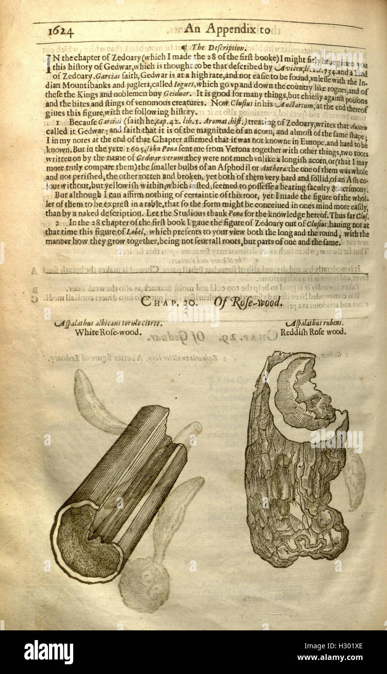 This historical botanical work provides comprehensive descriptions of ...
