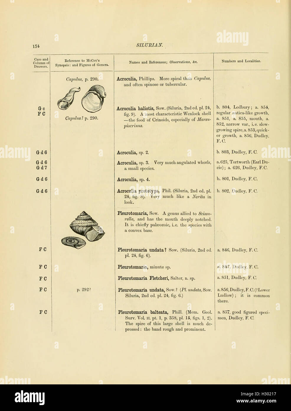 A detailed catalog of Cambrian and Silurian fossils housed in the