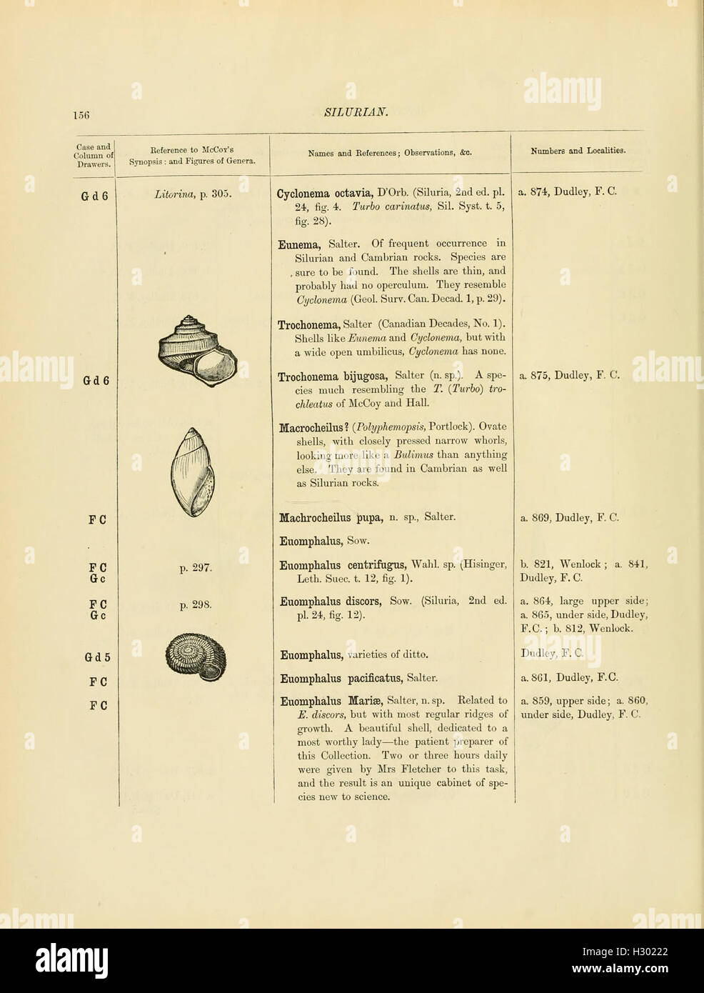 This catalog lists fossils from the Cambrian and Silurian periods held