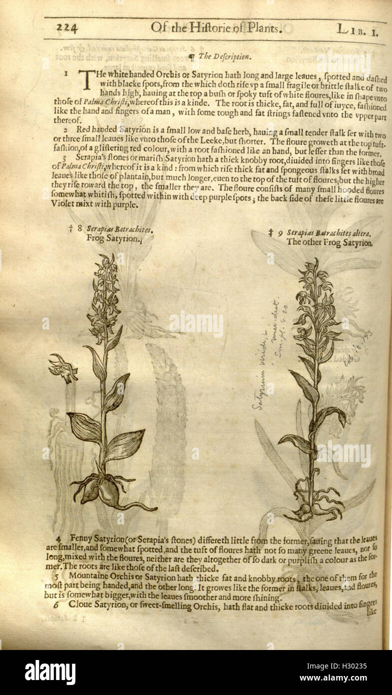 This historic botanical work details the history, properties, and uses ...