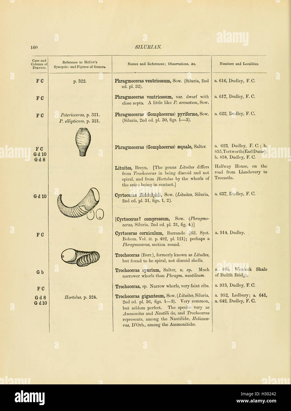 A catalog of Cambrian and Silurian fossils housed in the Geological