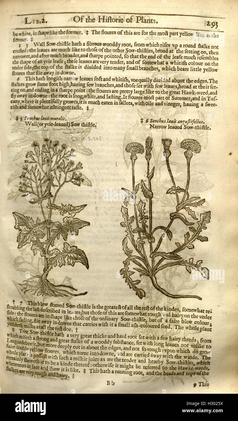 The Herball, or Generall Historie of Plantes, is a pioneering botanical ...