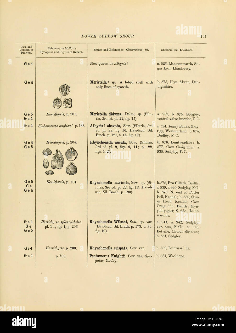 A catalog of Cambrian and Silurian fossils housed in the Geological