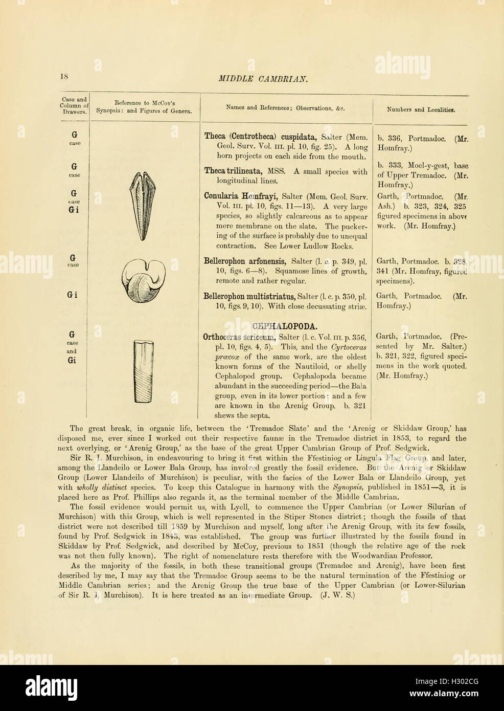 A catalog of Cambrian and Silurian fossils housed in the Geological