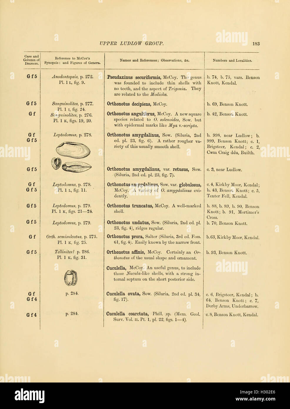 A catalog of Cambrian and Silurian fossils housed at the University of