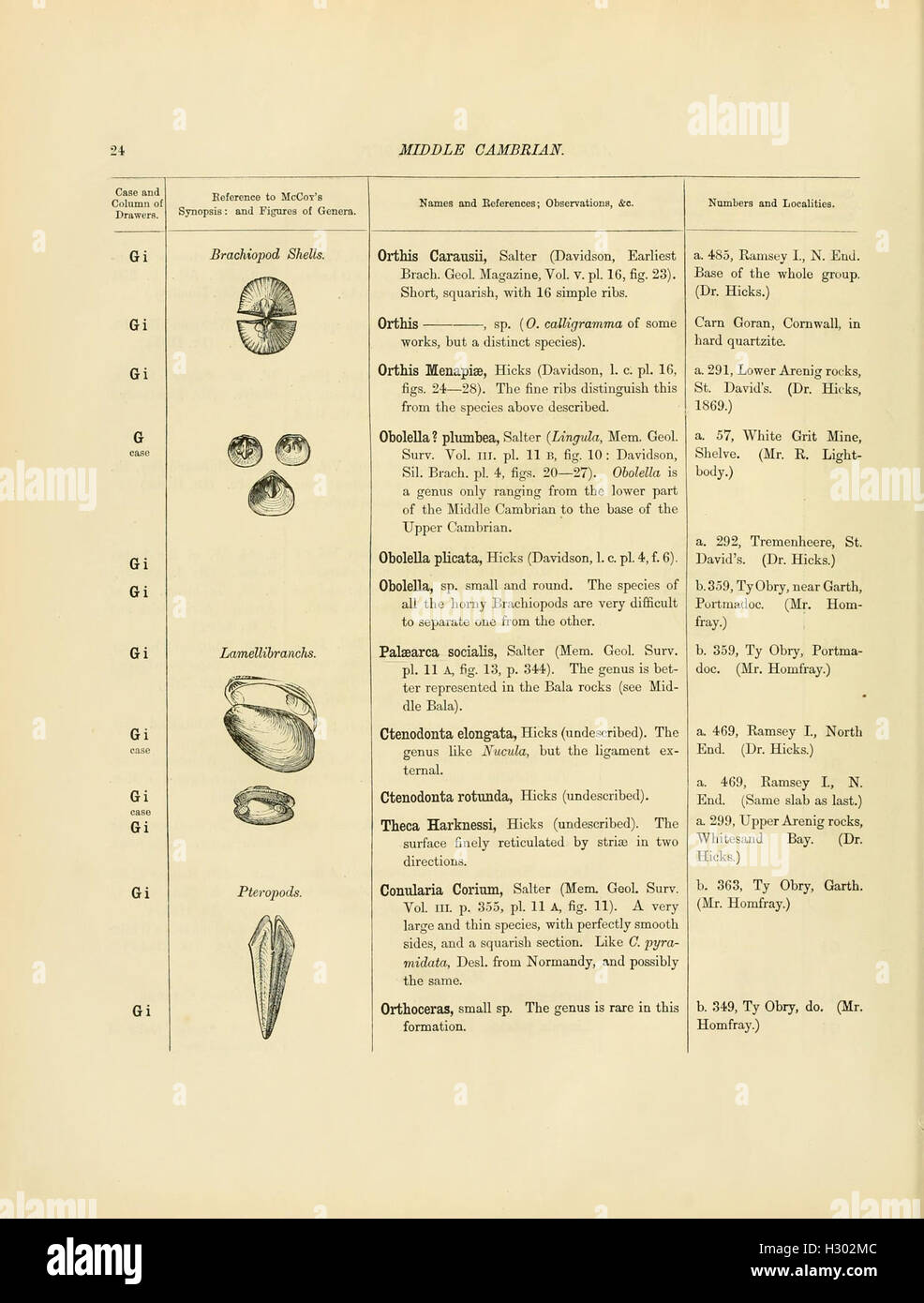 This catalog offers a detailed account of Cambrian and Silurian fossils