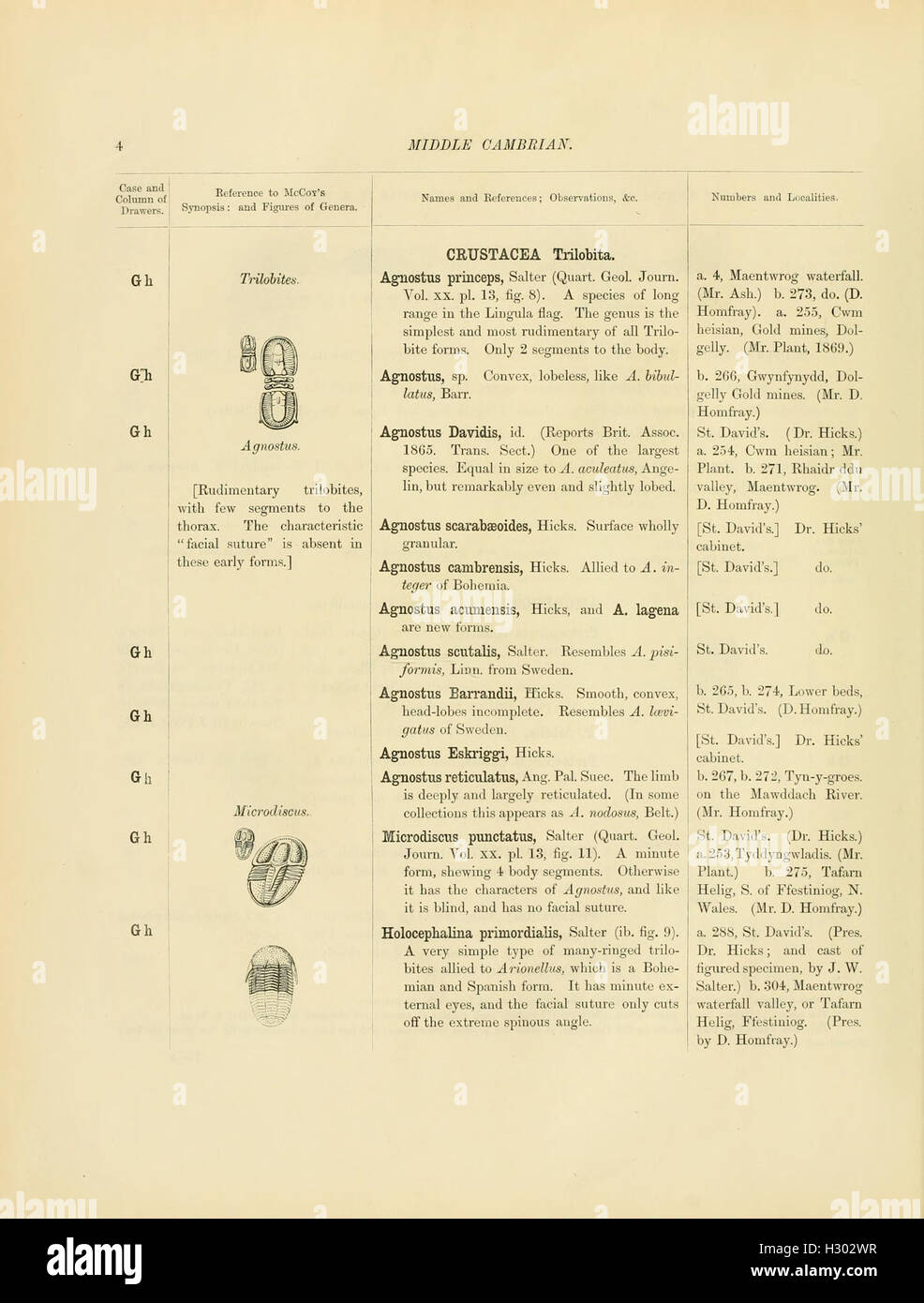This catalog provides a detailed inventory of Cambrian and Silurian