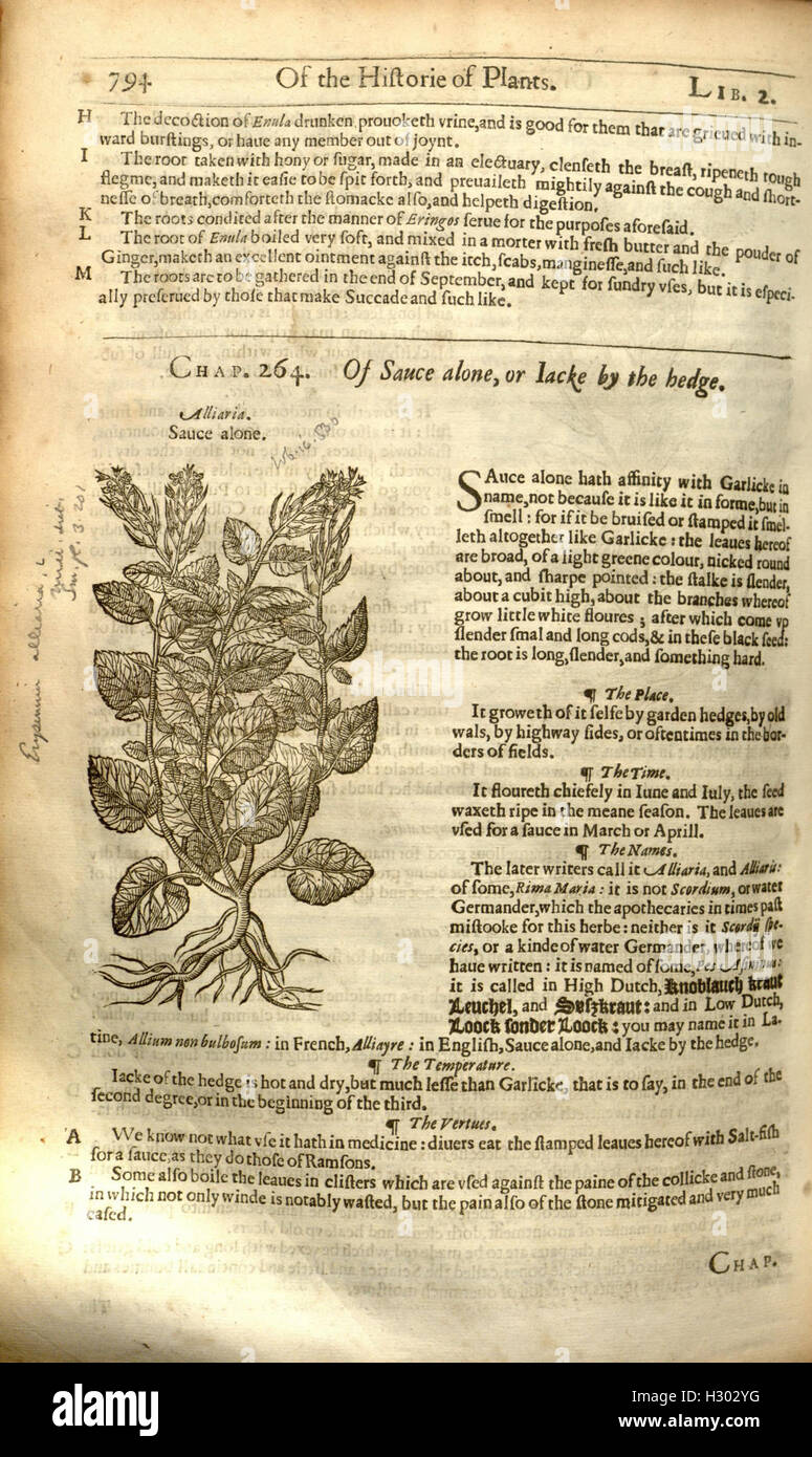 Traditional Effects This historical herbal provides an extensive guide to plants, their ...