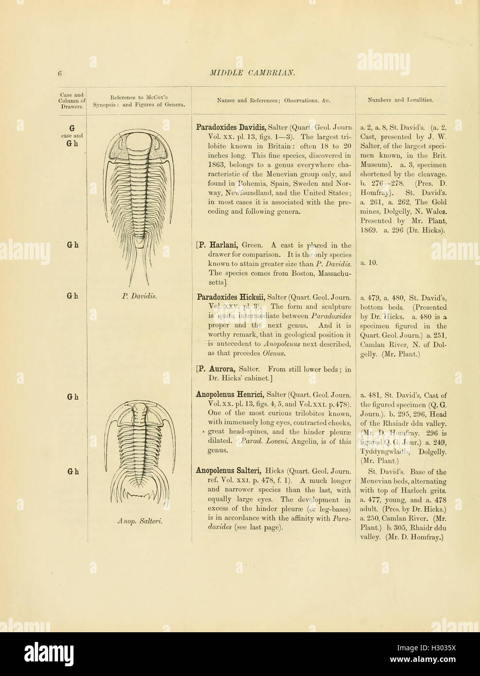 This catalog documents the Cambrian and Silurian fossil collections at
