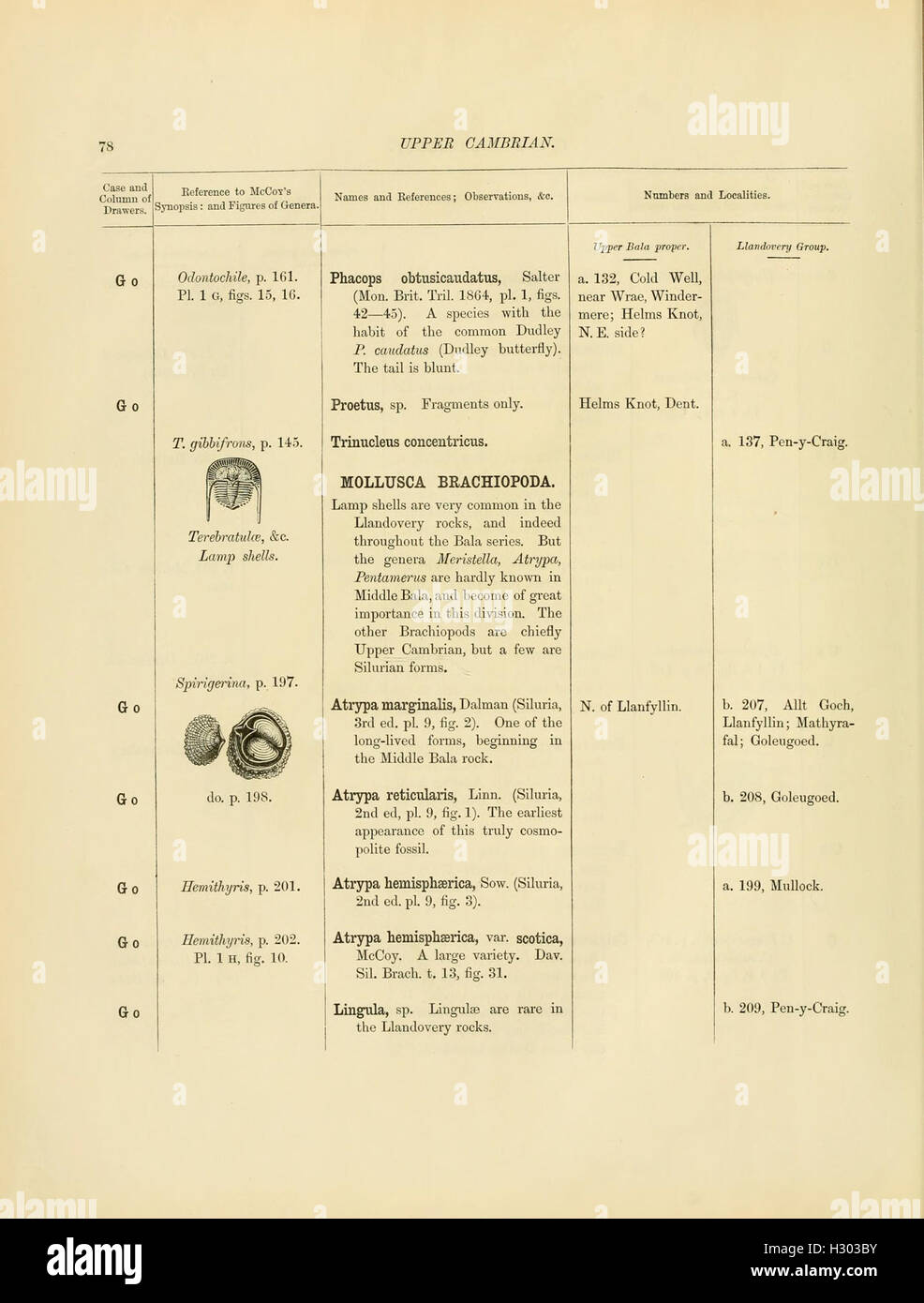 This catalog entry presents details of Cambrian and Silurian fossils