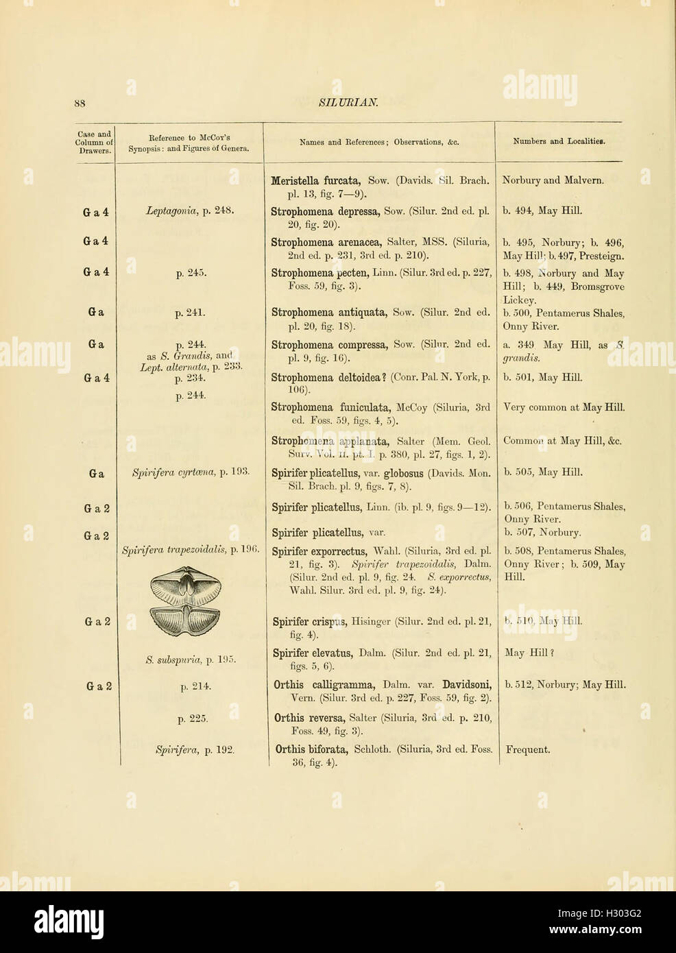 This page offers a catalog of Cambrian and Silurian fossils from the
