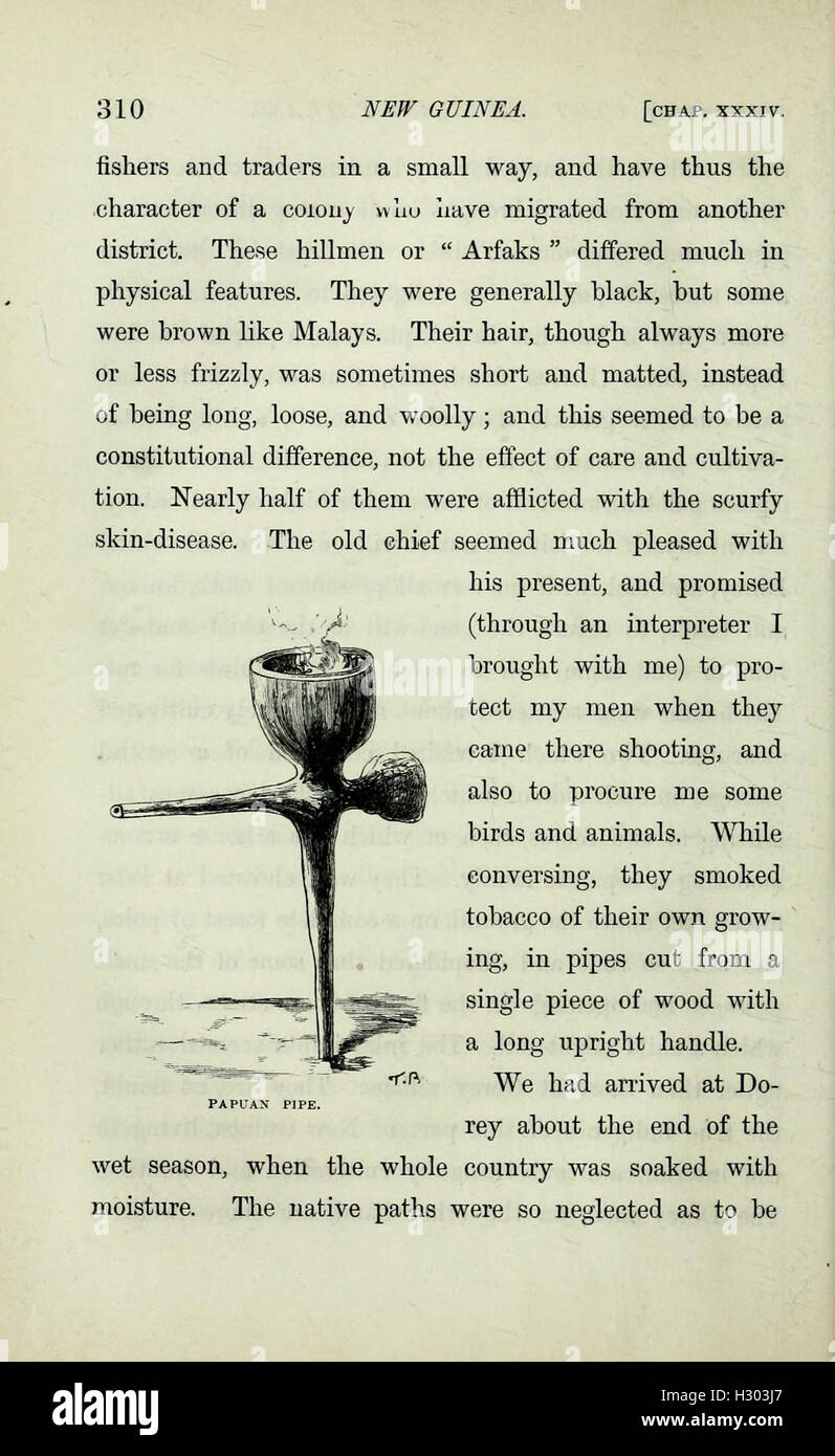 The Malay Archipelago (Page 310) BHL334 Stock Photo