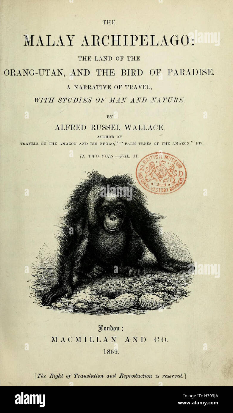 The Malay Archipelago BHL334 Stock Photo