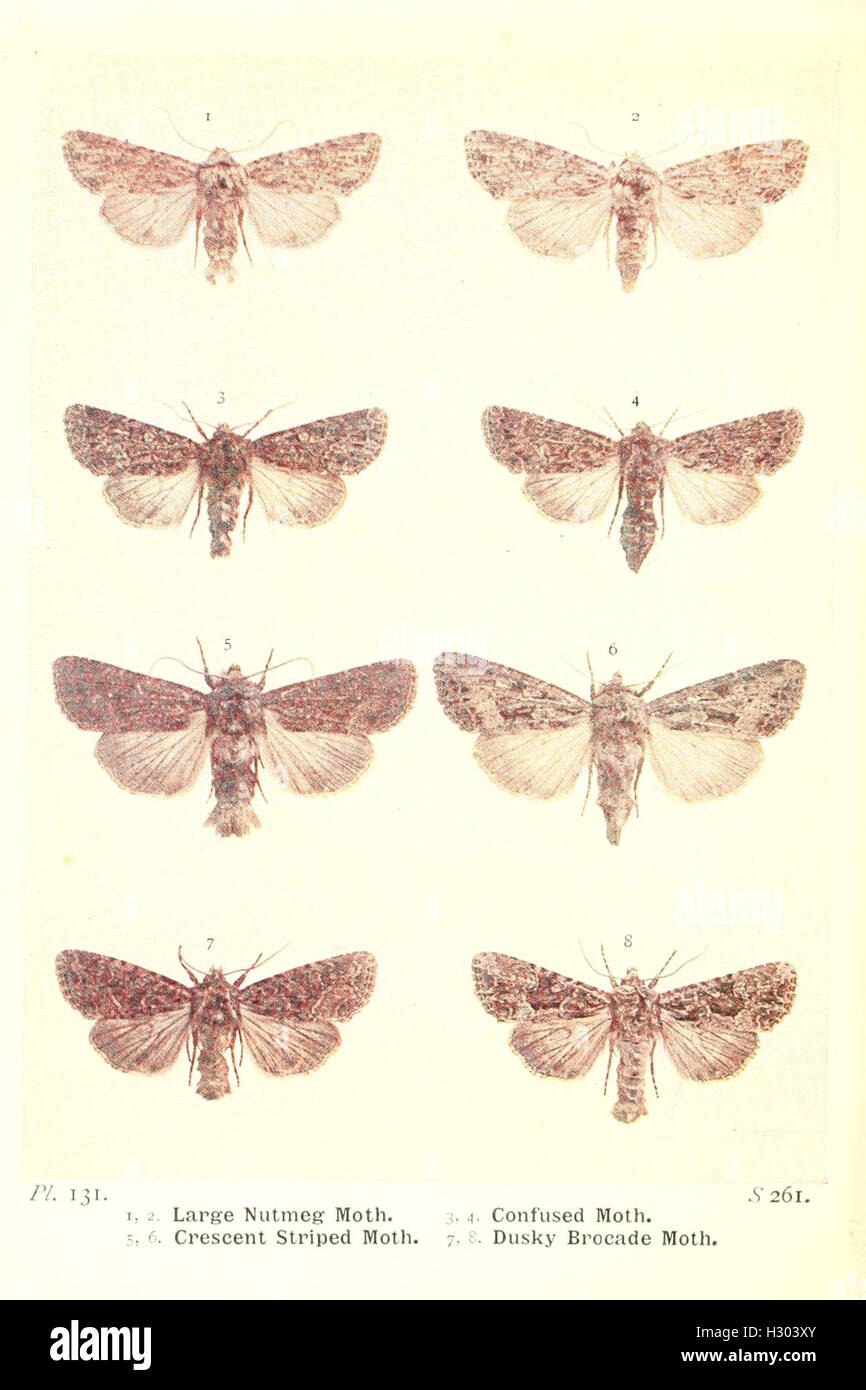 A comprehensive guide to the moth species of the British Isles ...