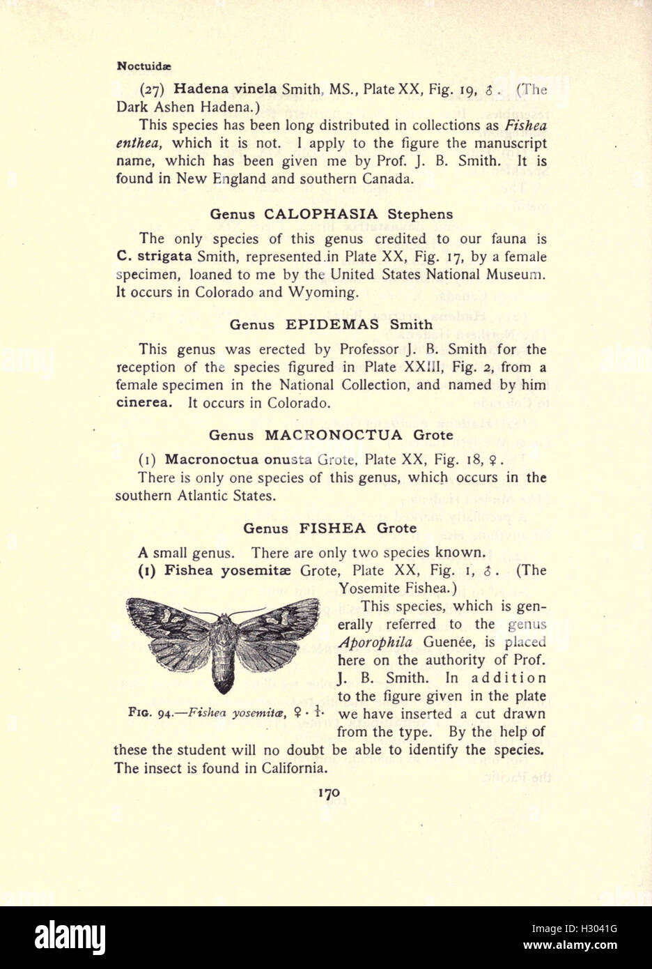 This book offers detailed information on moth species, with ...
