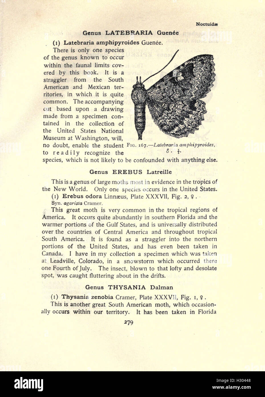 This book offers a comprehensive guide to moth species, including ...