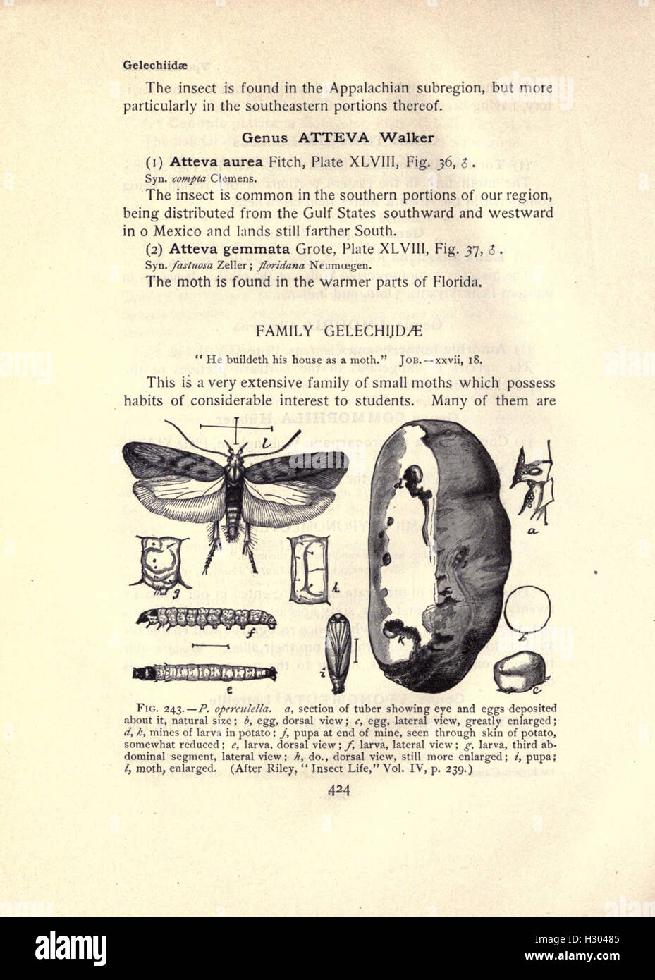 This book offers a comprehensive guide to moth species, providing ...