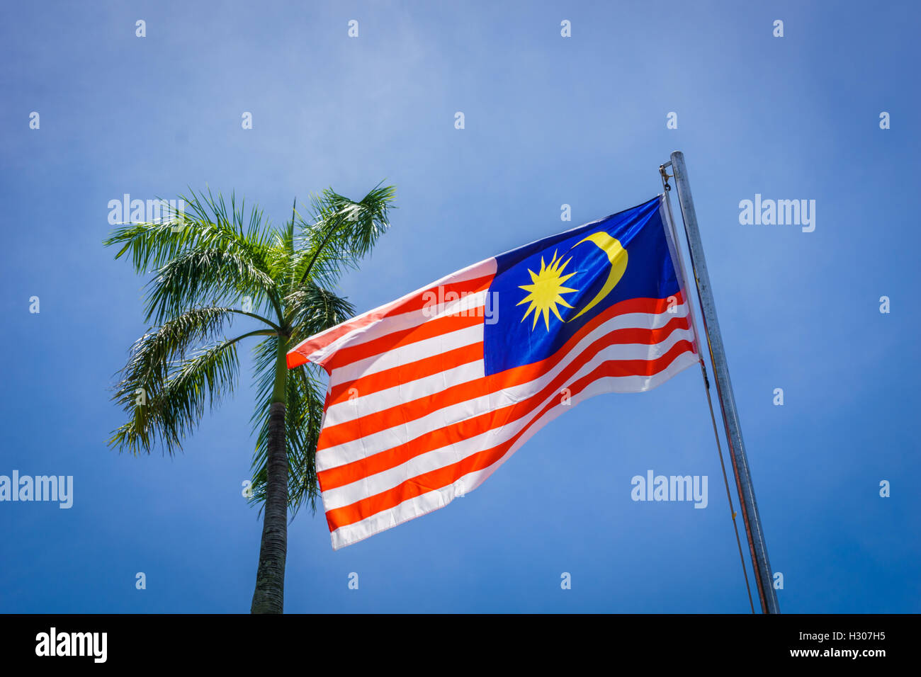 Malaysian flag waving besides a palm tree Stock Photo