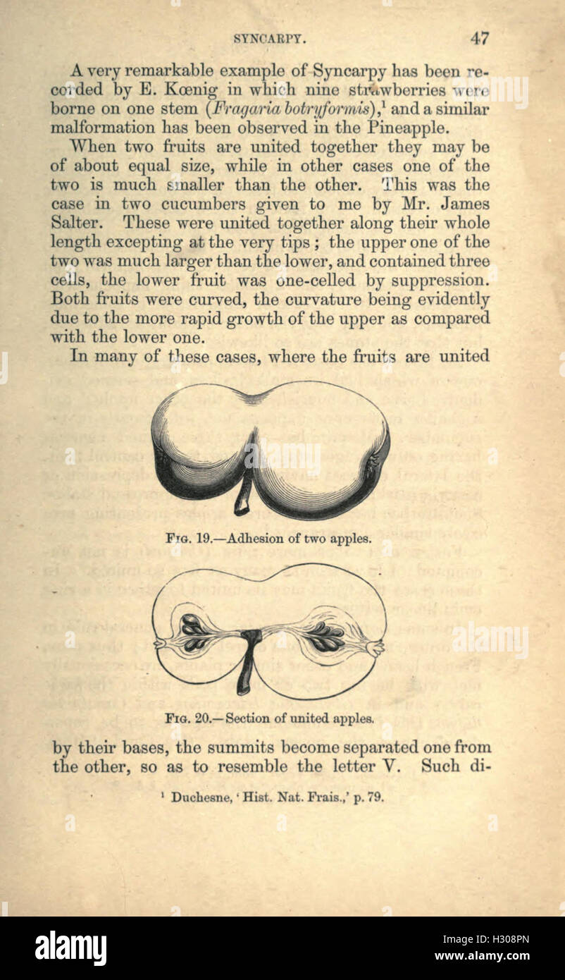 Picture Idea: This Work On Vegetable Teratology Studies Abnormal Plant Growths And