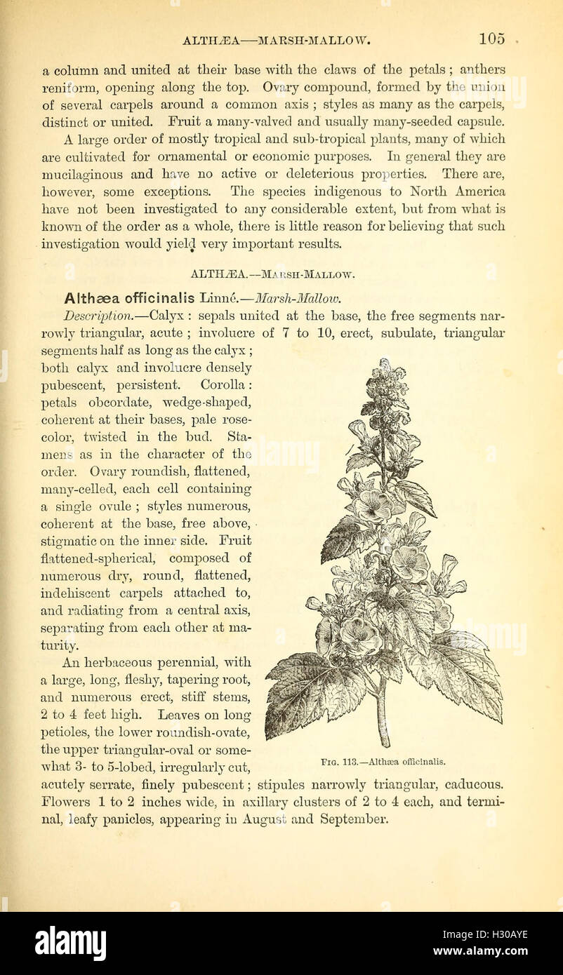 A comprehensive guide to the medical botany of North America, detailing ...