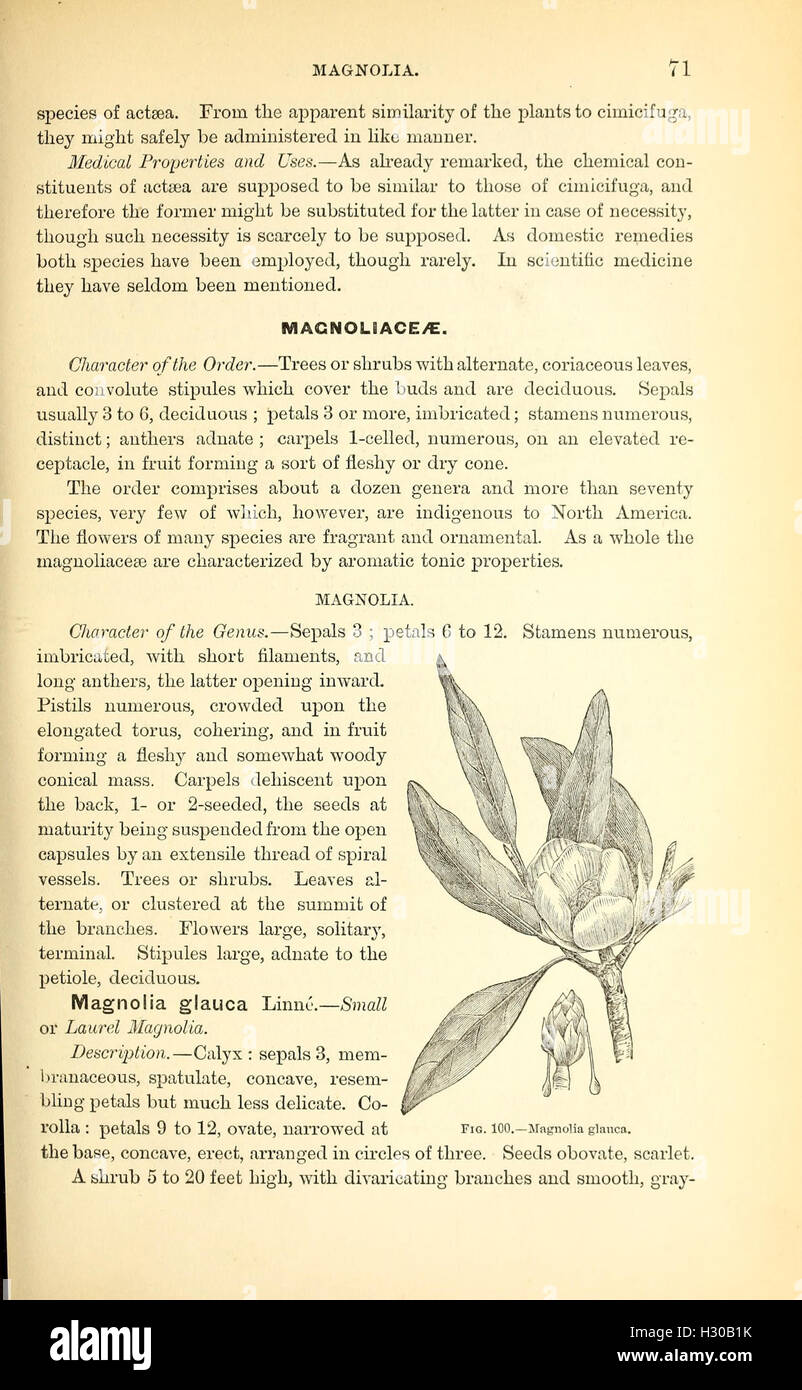 A manual of the medical botany of North America (Page 71, Fig. 100 ...