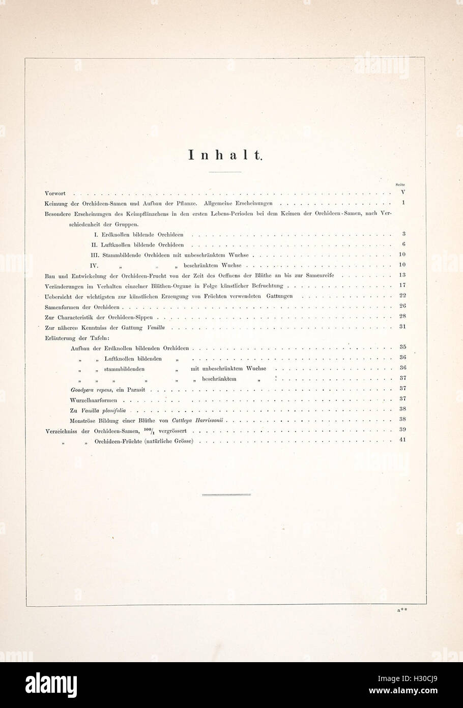 This work offers significant contributions to the morphology and ...