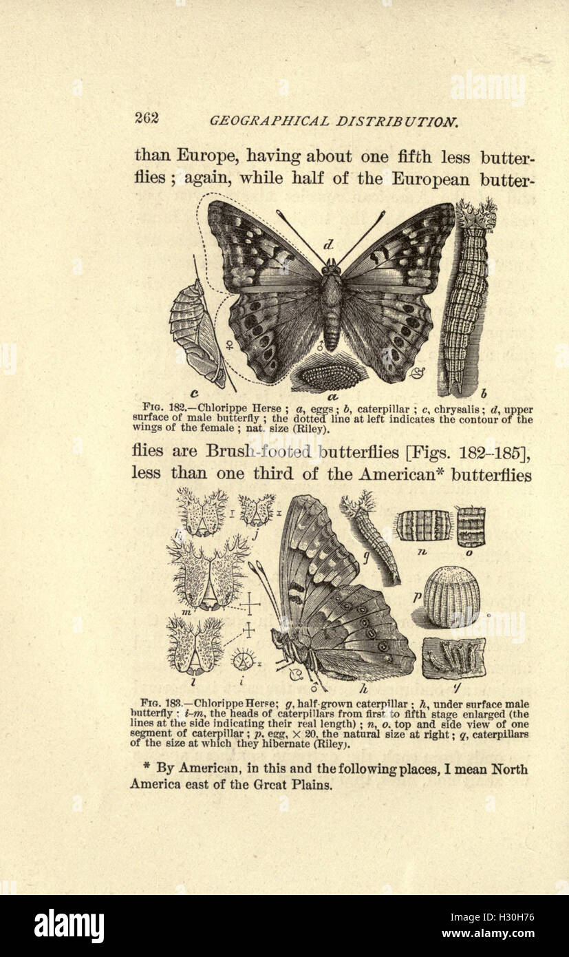 This page provides detailed descriptions of various butterfly species ...