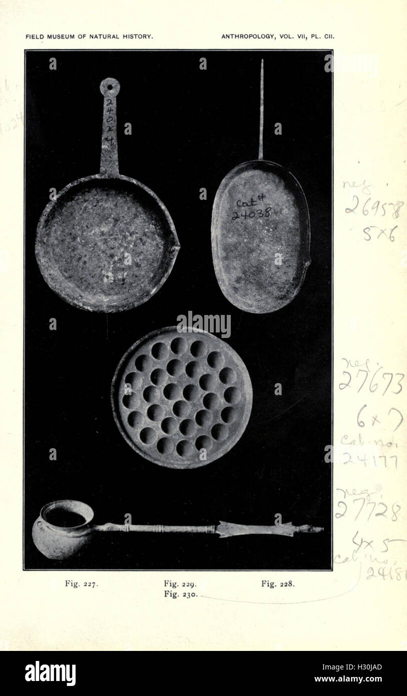 Catalogue of bronzes, etc., in Field Museum of Natural History BHL28