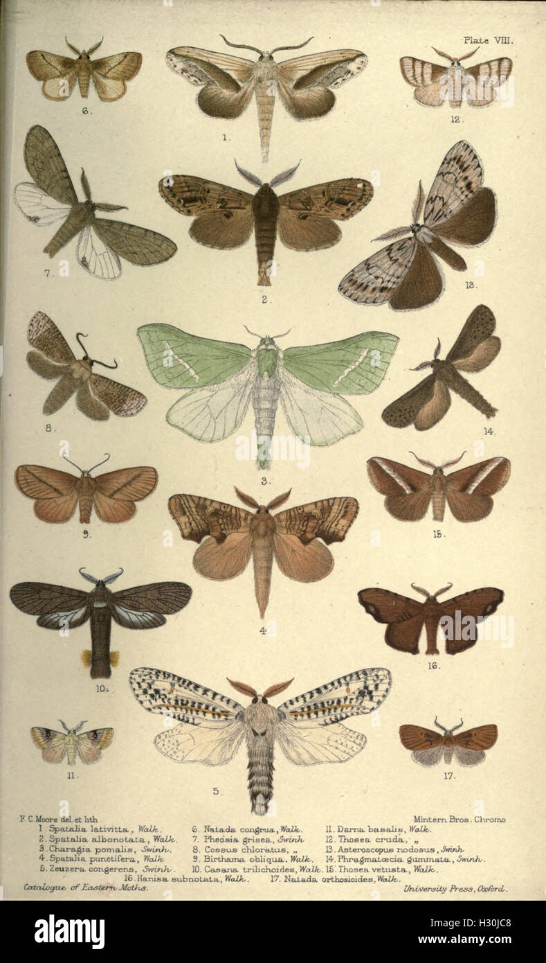 This catalogue provides a detailed listing and classification of the ...