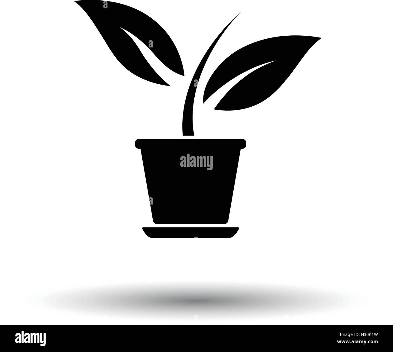 Plant in flower pot icon. White background with shadow design. Vector ...