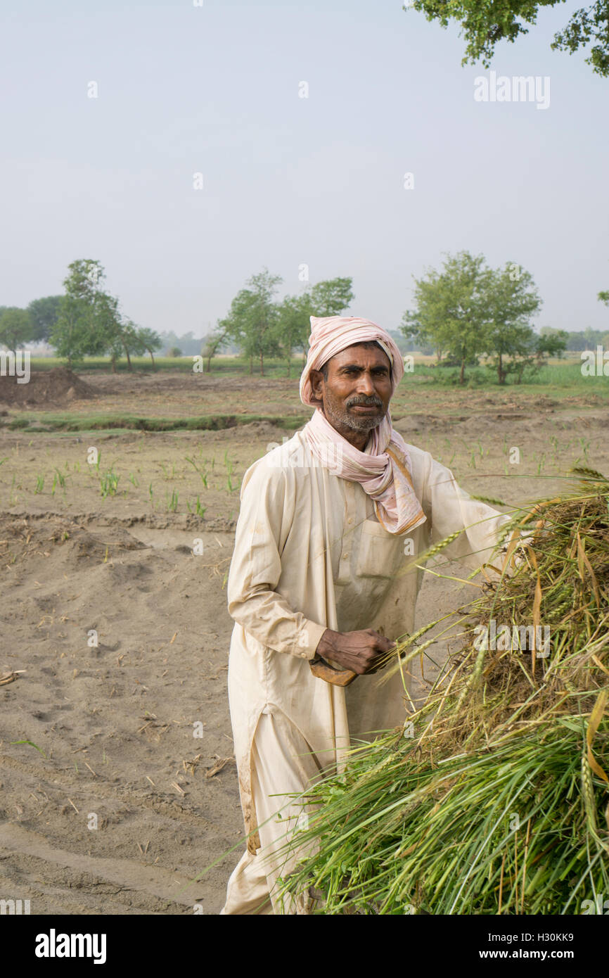 Pakistani farmer working in the land near Chenab river Multan Pakistan Stock Photo