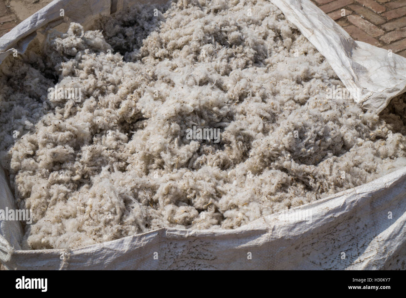 Raw cotton , cotton mill Multan Pakistan Stock Photo Alamy