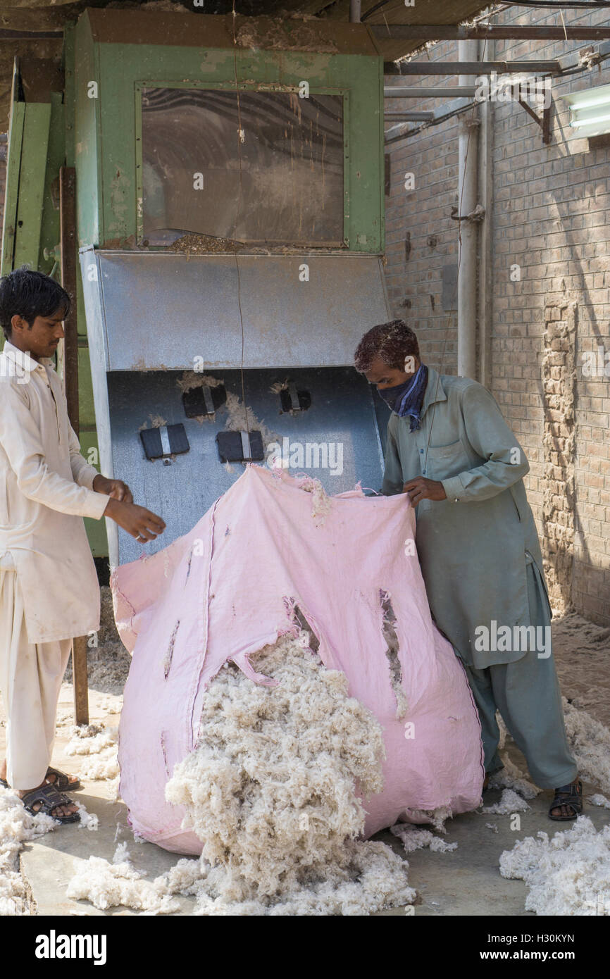 Men working in cotton mill Multan  Pakistan Stock Photo