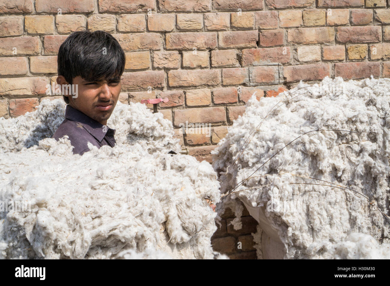 Teenage boy working in a cotton mill Multan Pakistan Stock Photo