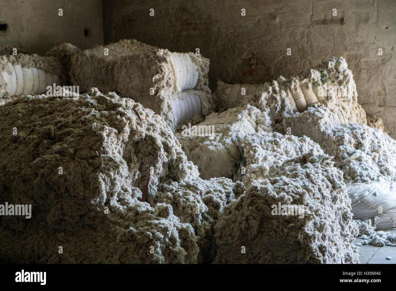 Raw cotton , cotton mill Multan Pakistan Stock Photo Alamy