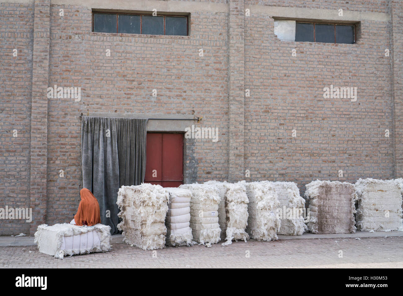 Raw cotton , cotton mill Multan Pakistan Stock Photo Alamy