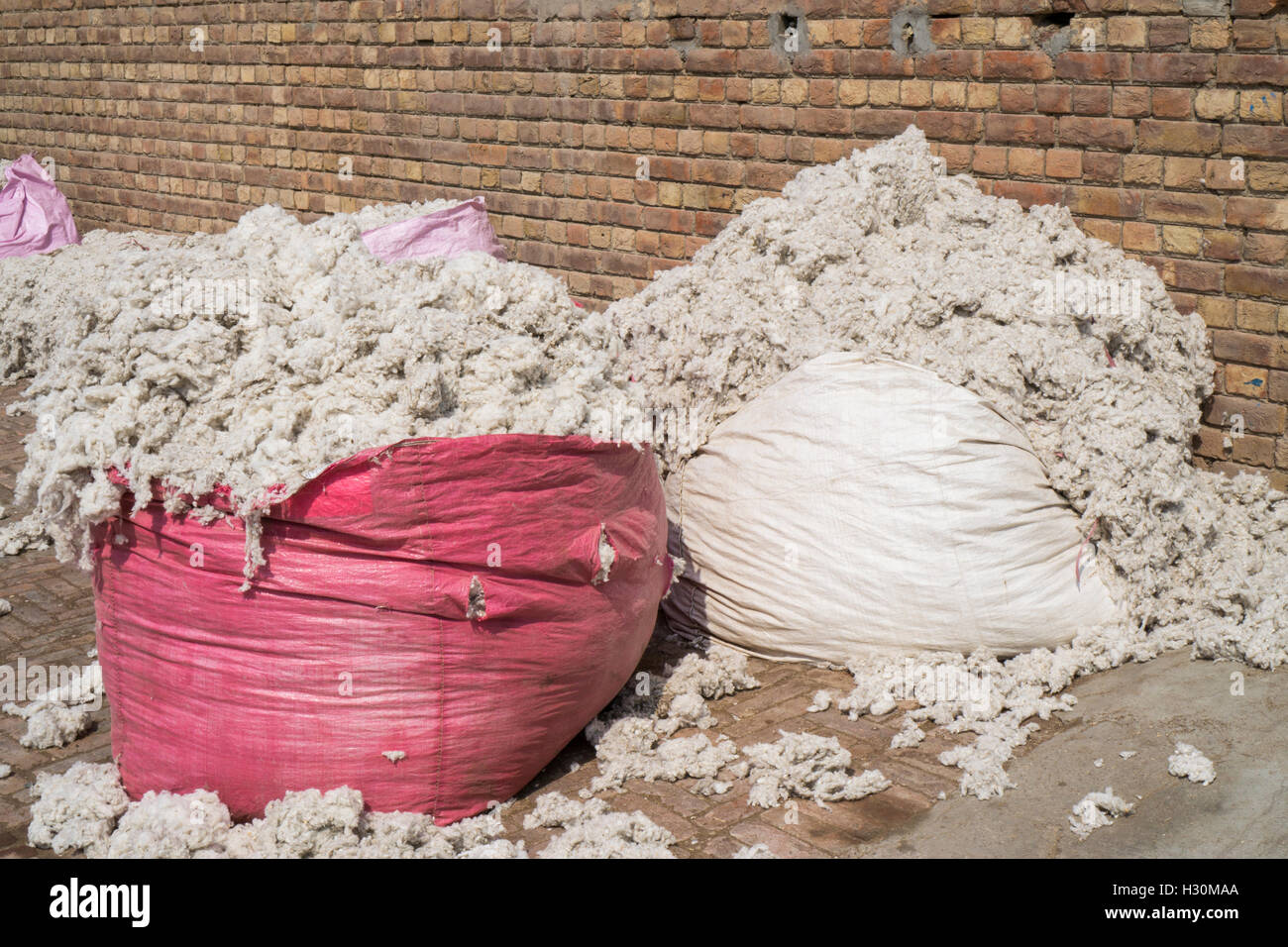 Raw cotton , cotton mill Multan Pakistan Stock Photo Alamy