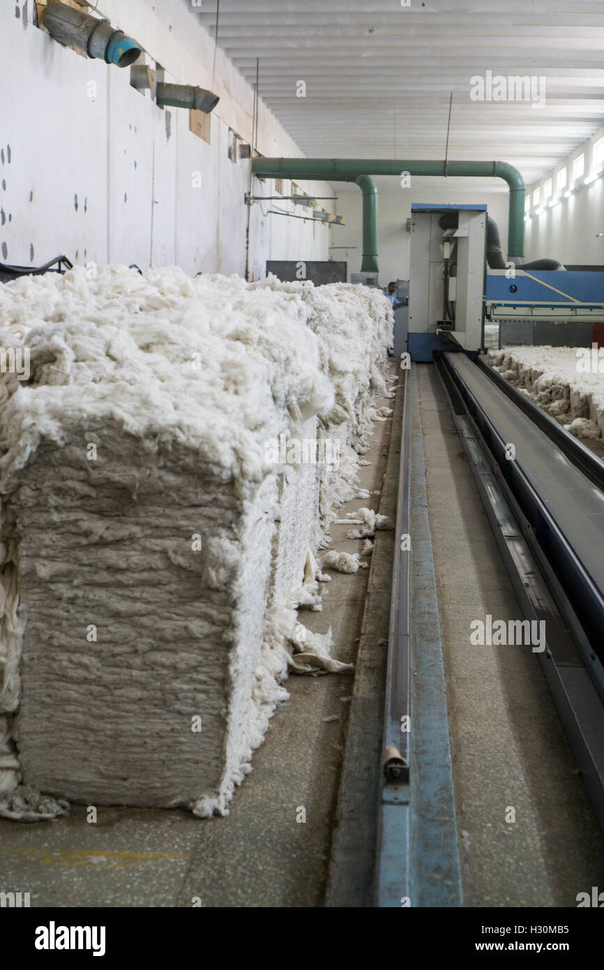Cotton industry pakistan hires stock photography and images Alamy