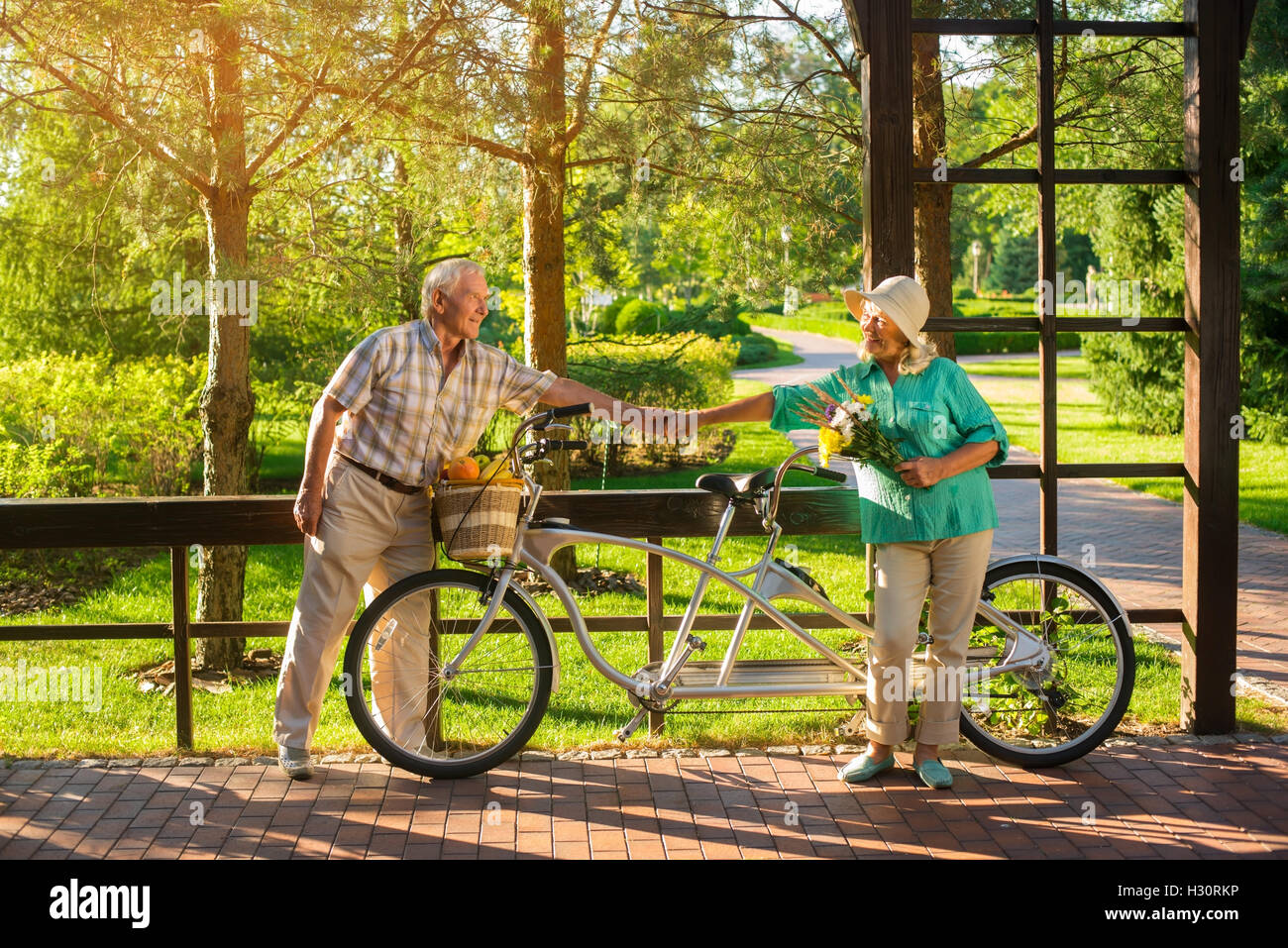 Senior people near tandem bike Stock Photo Alamy