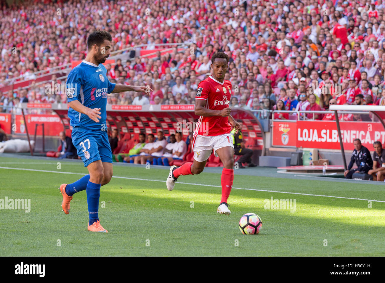 Lisbon, Portugal. 2 Oct, 2016. SL Benfica's Peruvian forward Andre Carrillo (15) and Feirense's Portuguese defender Paulo Monteiro (37) in action during the game SL Benfica vs GD Feirense Credit:  Alexandre de Sousa/Alamy Live News Stock Photo