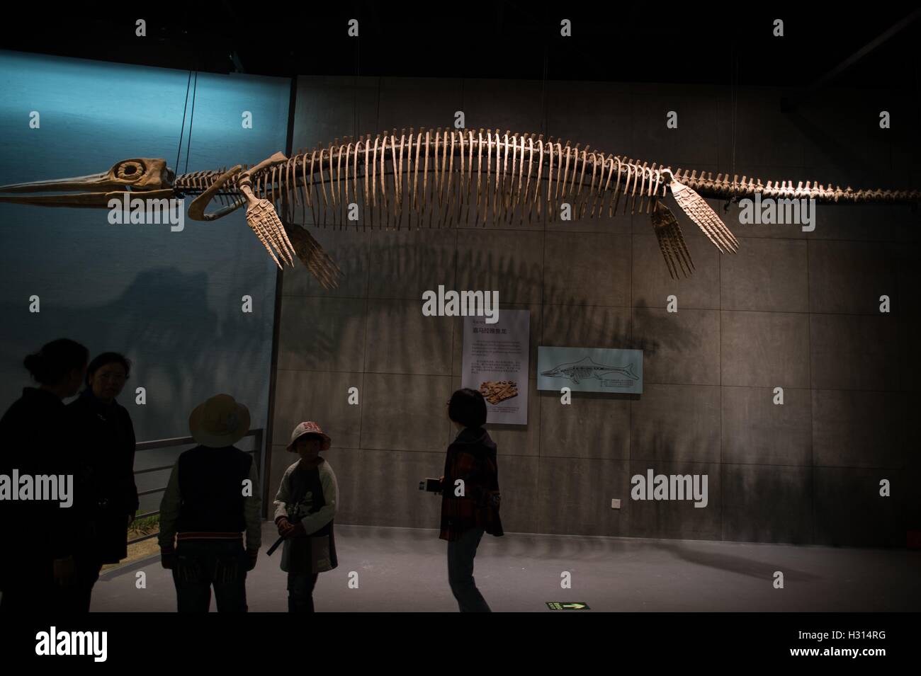 Lhasa, China's Tibet Autonomous Region. 3rd Oct, 2016. Visitors view the exhibits at the Natural Science Museum in Lhasa, capital of southwest China's Tibet Autonomous Region, Oct. 3, 2016. The museum was opened to the public free of charge on Oct. 1. © Purbu Zhaxi/Xinhua/Alamy Live News Stock Photo