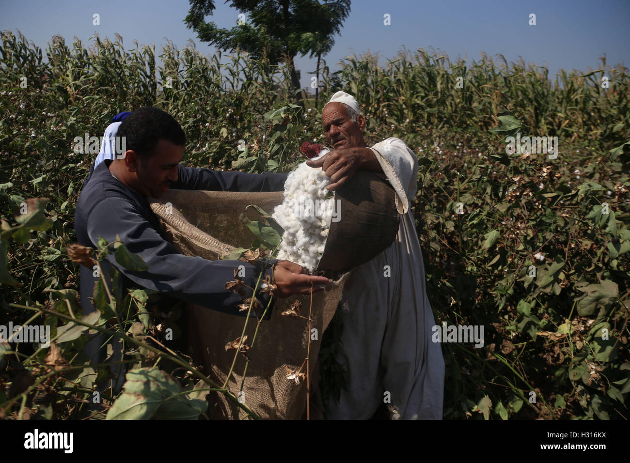 Gagour hires stock photography and images Alamy