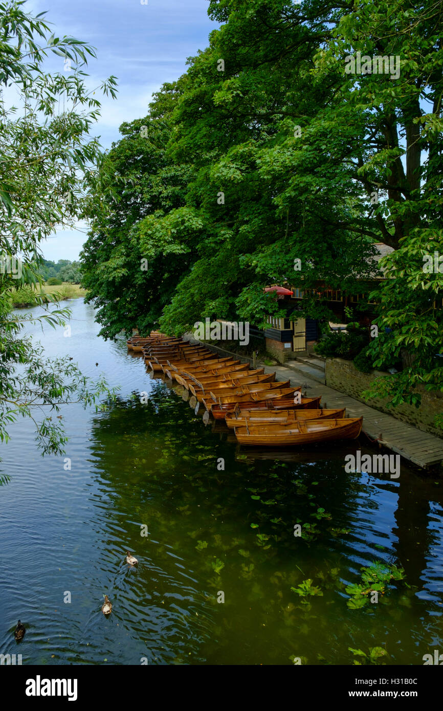 Rowing Boats on the river Stour at Dedham Stock Photo Alamy