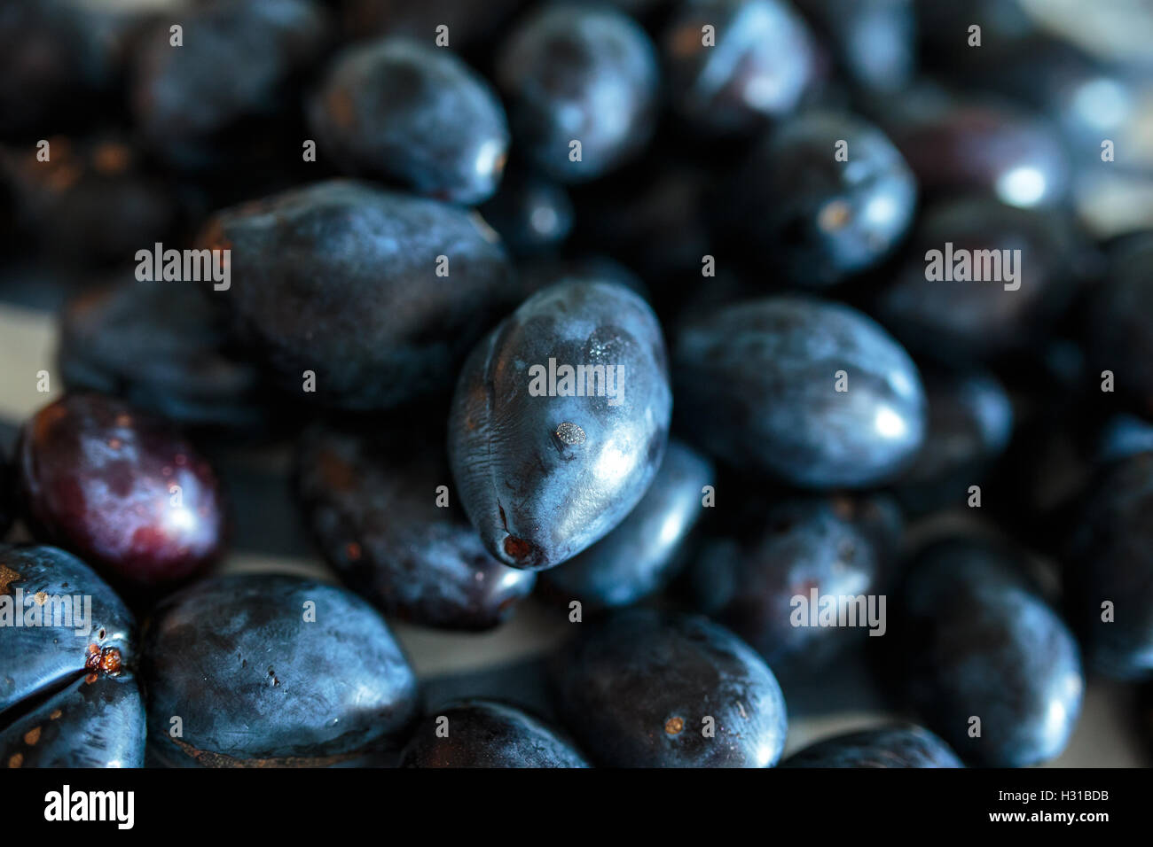 A pile of freshly picked blue plums in the kitchen Stock Photo Alamy