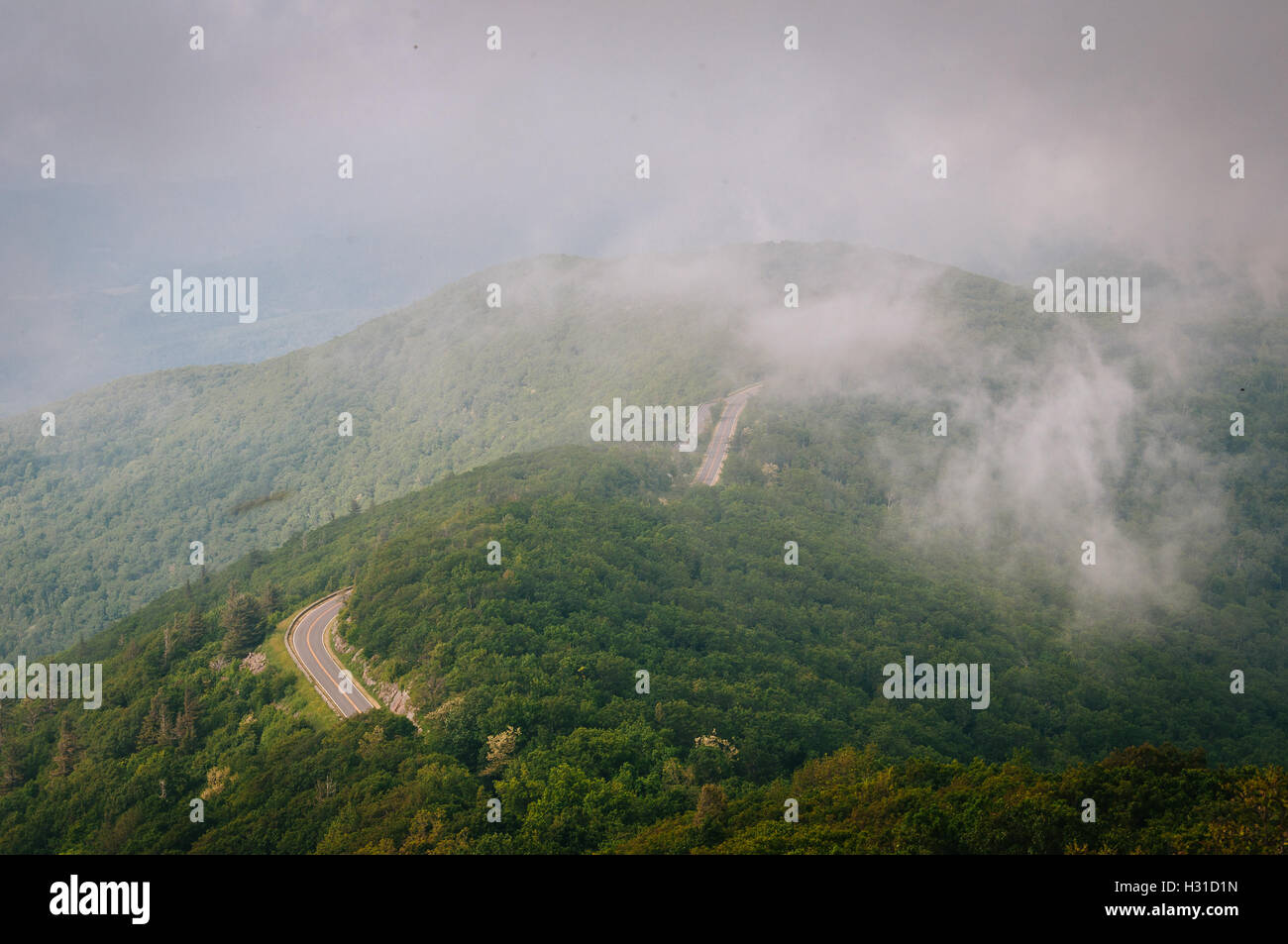 Fog over the Blue Ridge Mountains, seen from Little Stony Man Cliffs in ...