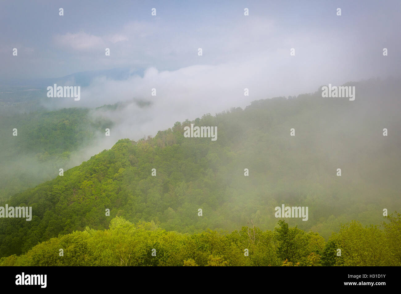 Foggy spring view of the Blue Ridge in Shenandoah National Park, Virginia. Stock Photo