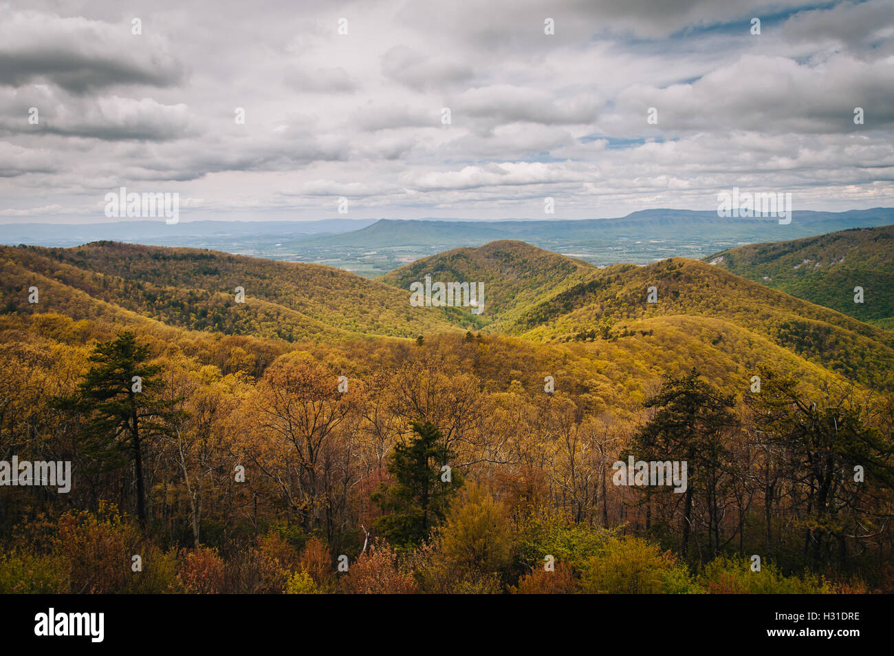 Spring view of the Blue Ridge Mountains and Shenandoah Valley, from ...